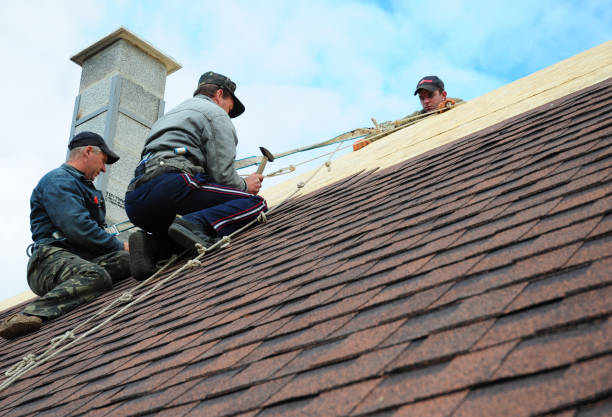 Best Storm Damage Roof Repair  in Olivehurst, CA